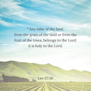 31 Biblequotes about sowing and reaping_Side_06