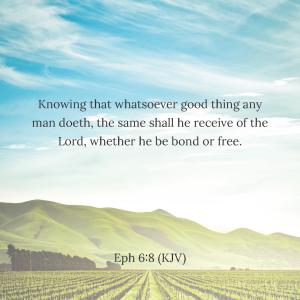 31 Biblequotes about sowing and reaping_Side_17