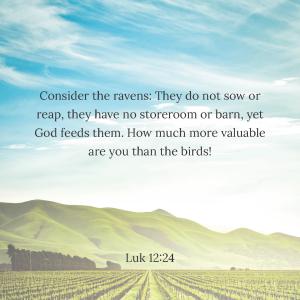 31 Biblequotes about sowing and reaping_Side_24