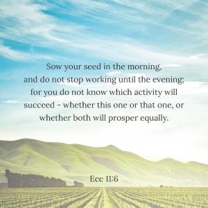 31 Biblequotes about sowing and reaping_Side_15