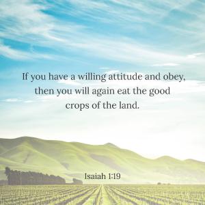 31 Biblequotes about sowing and reaping_Side_02
