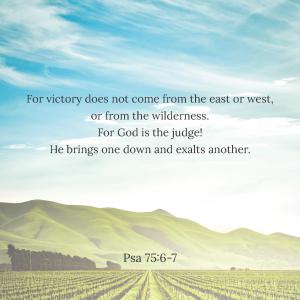 31 Biblequotes about sowing and reaping_Side_04