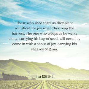 31 Biblequotes about sowing and reaping_Side_31