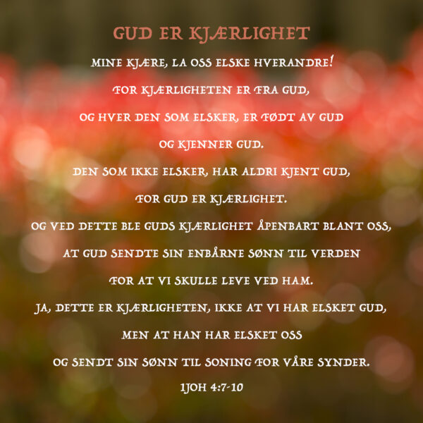 01 - Treenigheten - eBok - Image 6