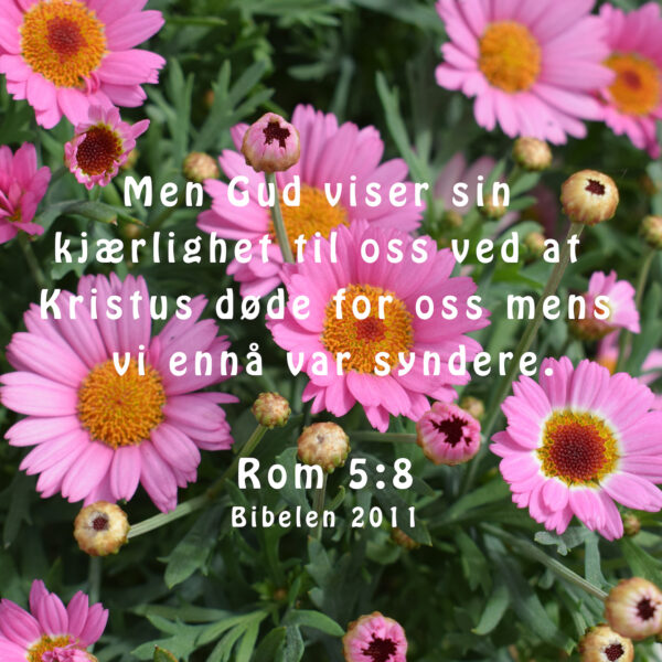 02 - Tro, Håp og Kjærlighet - eBok - Image 7