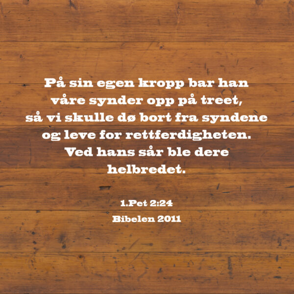 05 - Helbredelse - eBok - Image 7