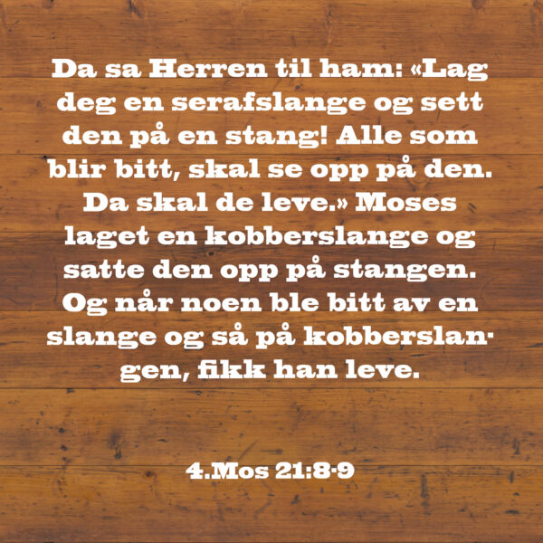 05 - Helbredelse - eBok - Image 8