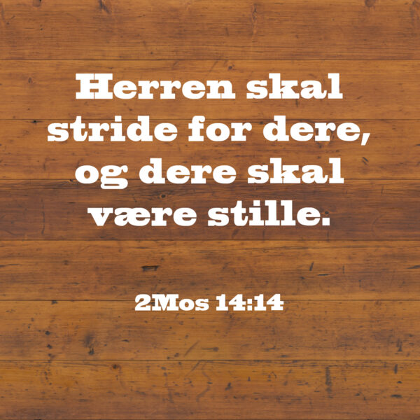 05 - Helbredelse - eBok - Image 10