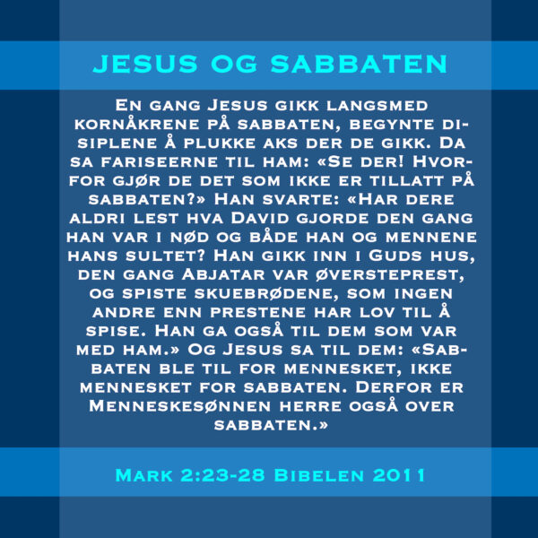 06 - Jesu lære - eBok - Image 7