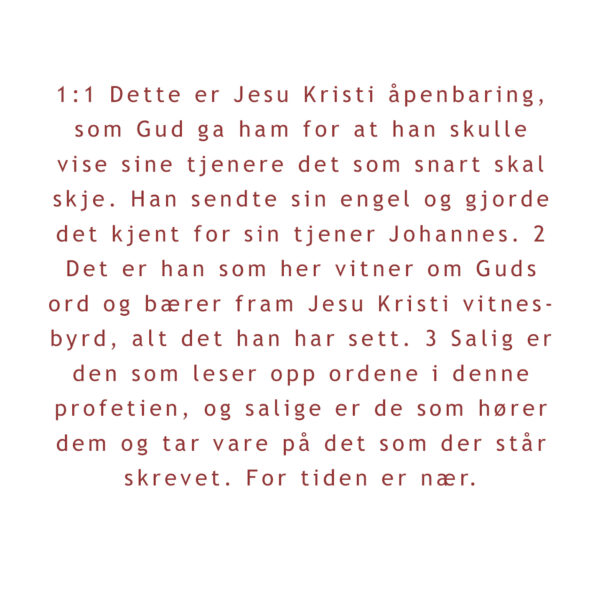 07 - Fremtiden - eBok - Image 8