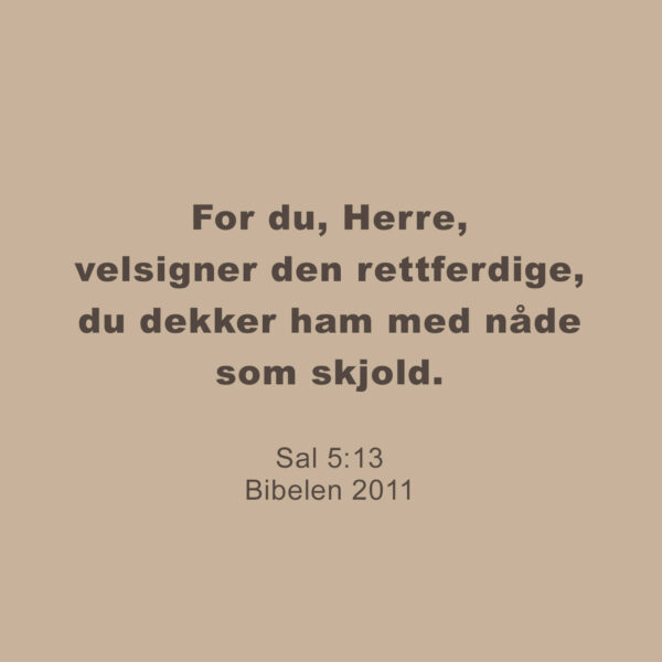 10 - Nåde, Frihet og Velsignelse - eBok - Image 6