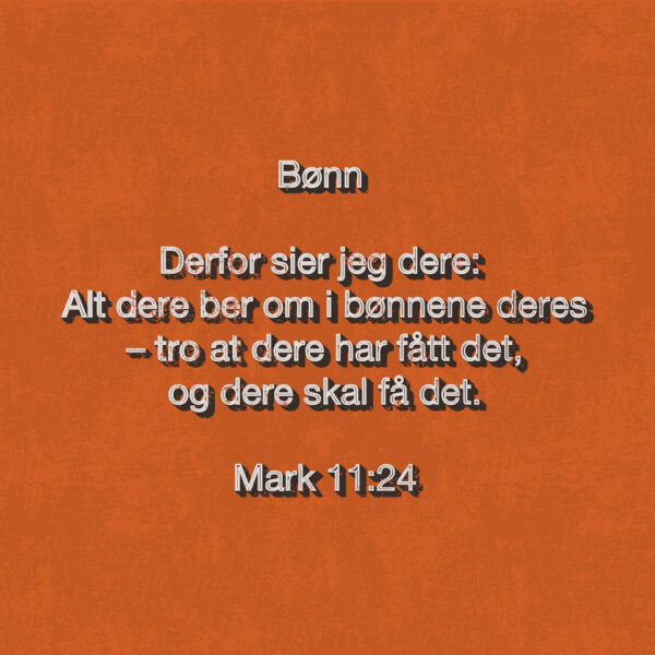 10 - Nåde, Frihet og Velsignelse - eBok - Image 9