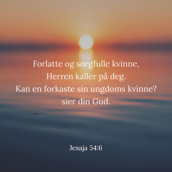 11 - Trøst og Formaning - eBok - Image 7