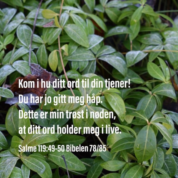 12 - Bønn og Lovprisning - eBok - Image 6
