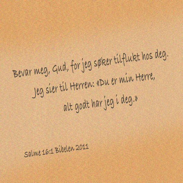 12 - Bønn og Lovprisning - eBok - Image 7