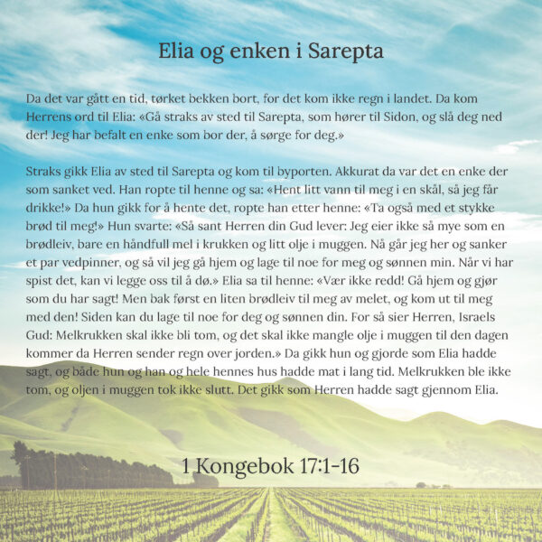 14 - Forvaltning - eBok - Image 7