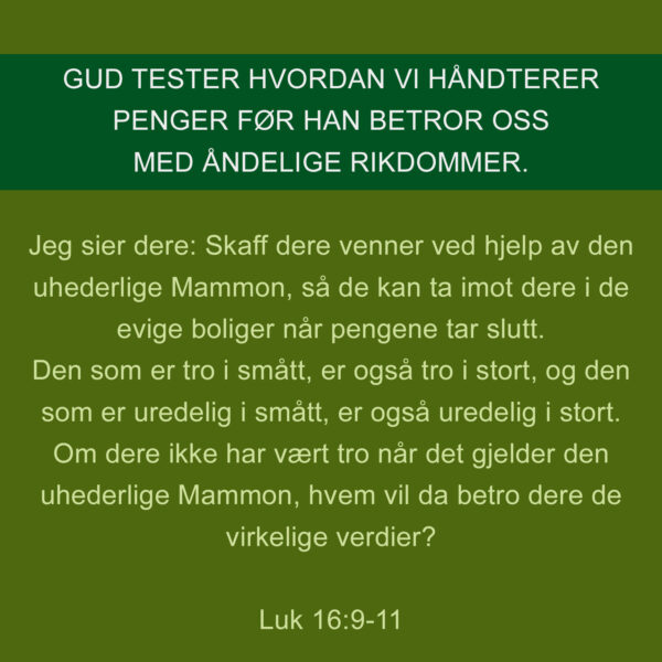 14 - Forvaltning - eBok - Image 11