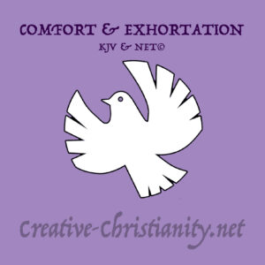 11 - Comfort and Exhortation - eBook