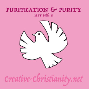 13 - Purification and Purity - eBook