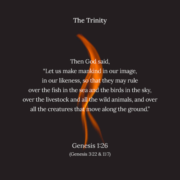 01 - The Trinity - eBook - Image 2