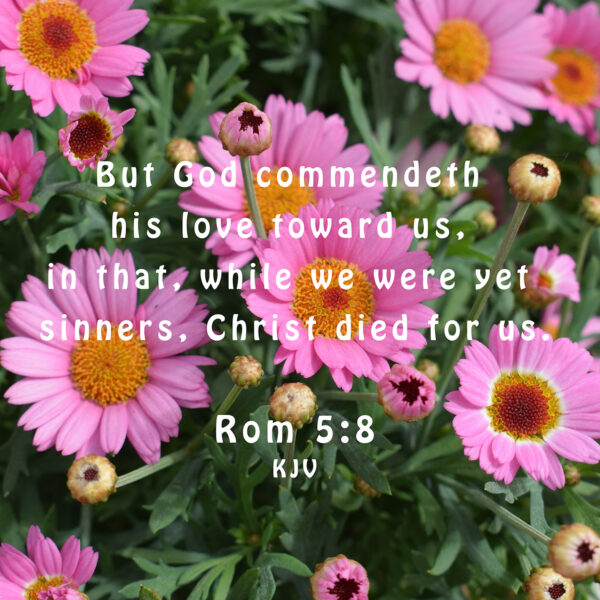 02 - Faith, Hope and Love - eBook - Image 7