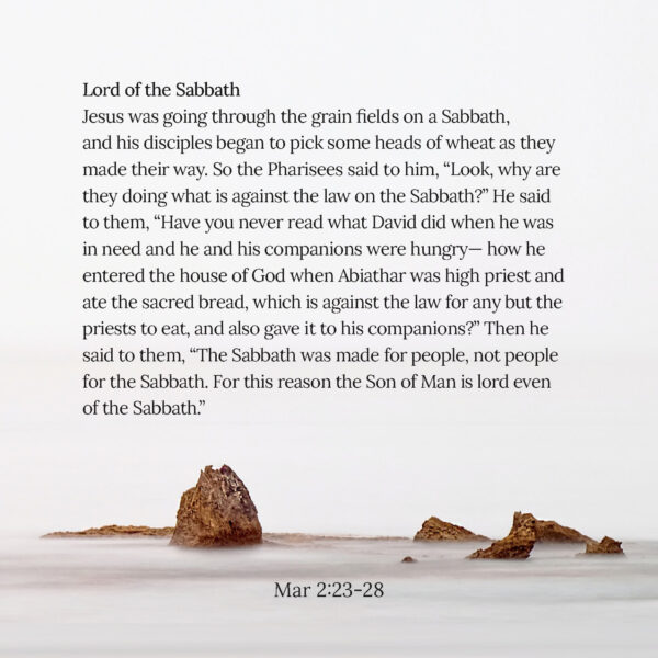 06 - The Teachings of Jesus - eBook - Image 5