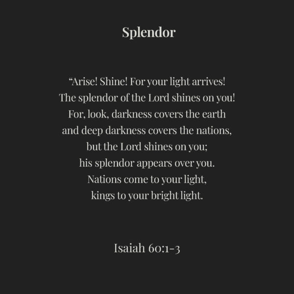 08 - The Good Fight of the Faith - eBook - Image 5