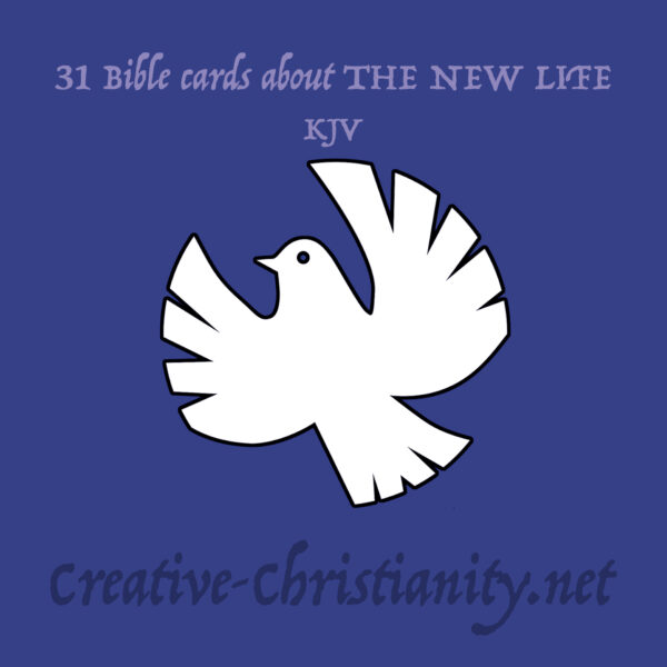 09 - The Way - eBook - Image 6