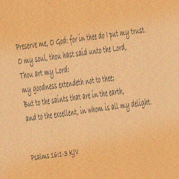 12 - Prayer and Praise - eBook - Image 5