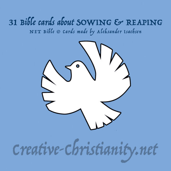 14 - Stewardship - eBook - Image 2