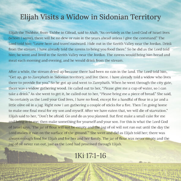 14 - Stewardship - eBook - Image 3